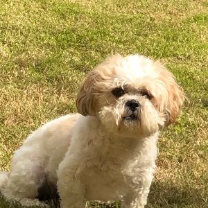 Meet your Posher, Kim